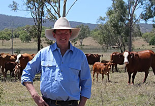 Why this central Qld producer has gone back to Herefords for future profits